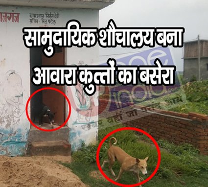 सिसवा विकास खण्ड: लूट का जरिया बना PM व CM की महात्वाकांक्षी योजना, सामुदायिक शौचालय बना आवारा कुत्तों का बसेरा